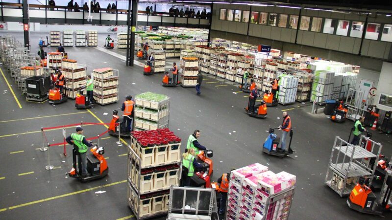 Aalsmeer: De economische motor van de regio