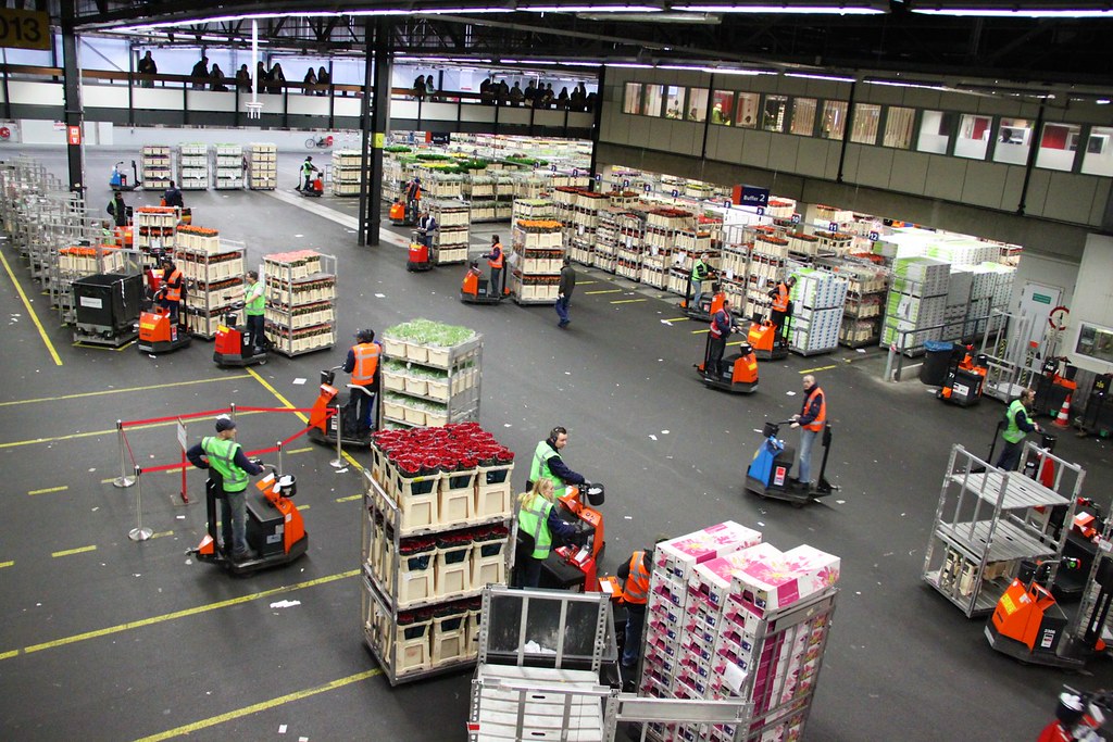 Aalsmeer: De economische motor van de regio