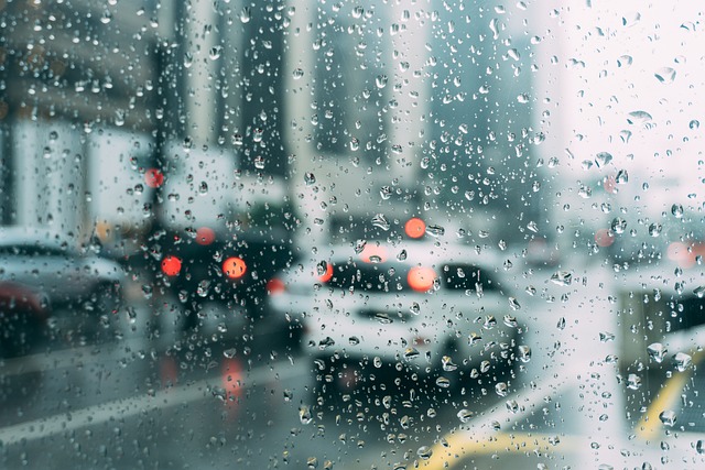 Hoe verandert het weer in Hilversum door de seizoenen en wat betekent dit voor regenpatronen?